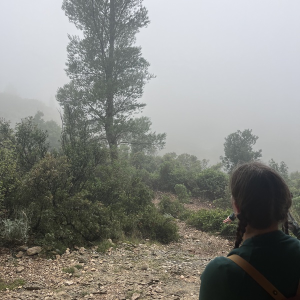 Herbst in der Provinz