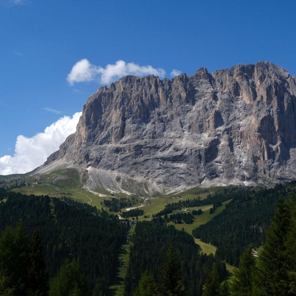 christina-zhang-unsplash