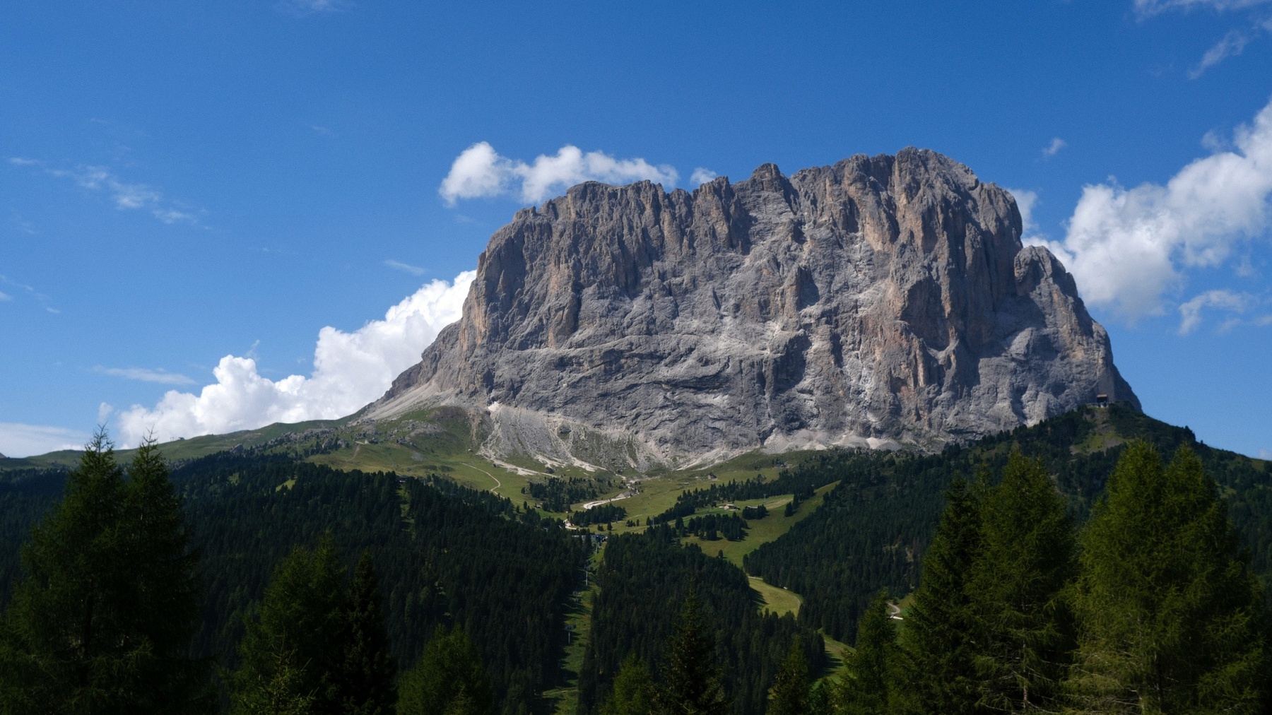 christina-zhang-unsplash